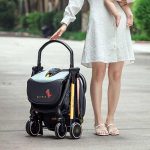 Детская коляска Xiaomi Elittle Dream Lite 0-36м